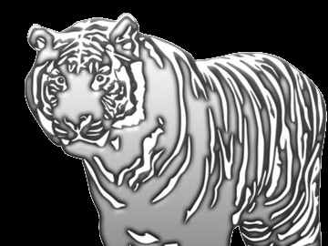 Platinum Tiger head Platinum Tiger head